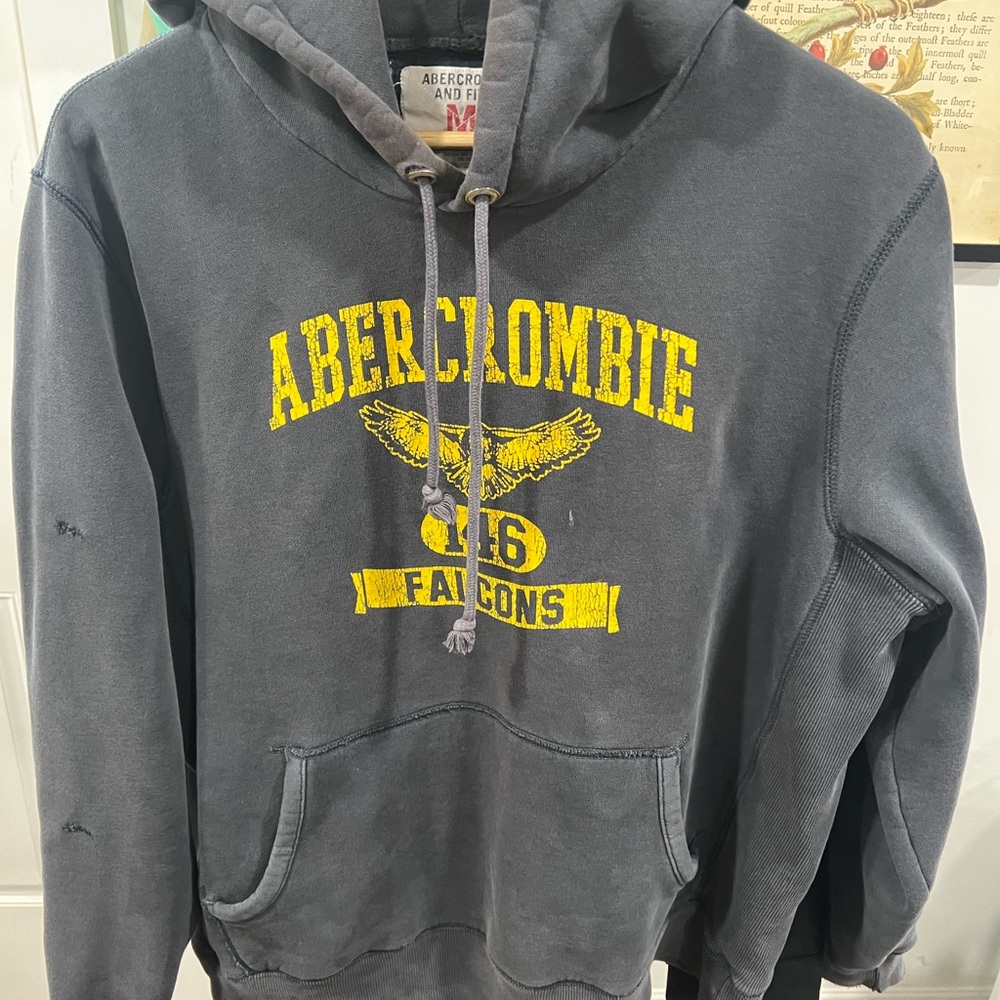 Vintage Abercrombie & Fitch Popover Hoodie M Oversized Y2K Archive Graphic